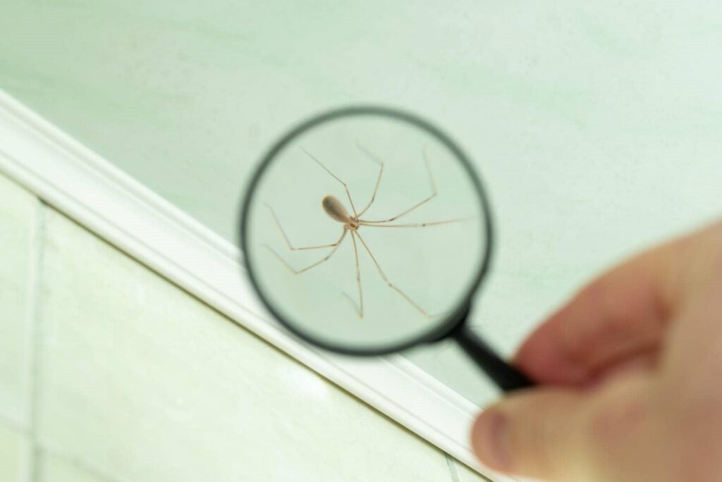 10 Essential Local Pest Control Regulations