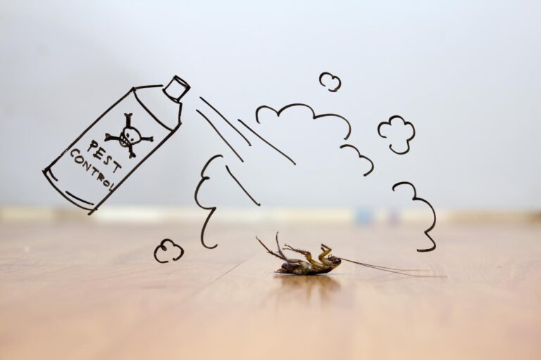 7 Best Indoor Ant Control Solutions for Homes