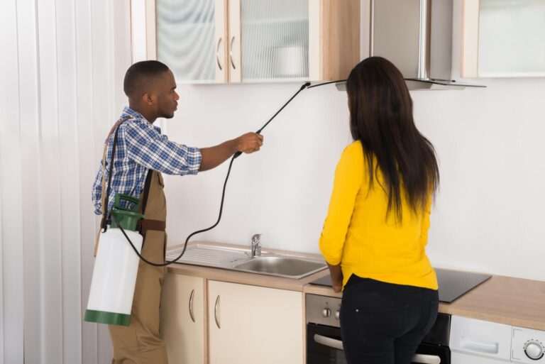 Top 3 Indoor Ant Control Solutions for Homes