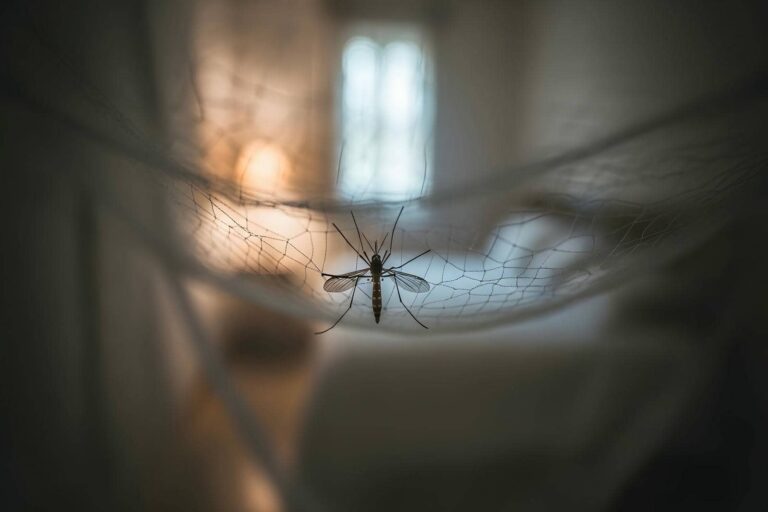 What Natural Techniques Keep Mosquitoes Away From Yards?