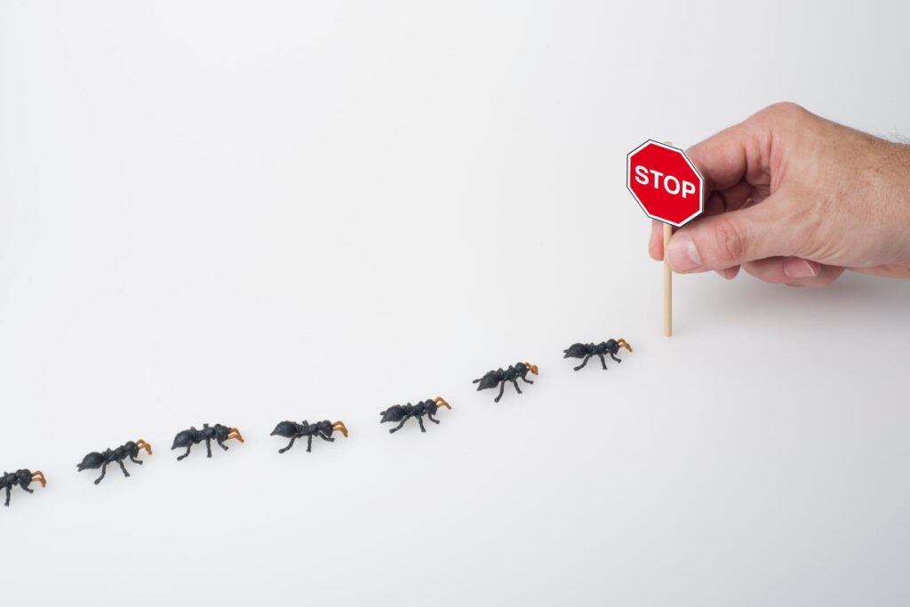 3 Tips for Effective Mice Control in Apartments