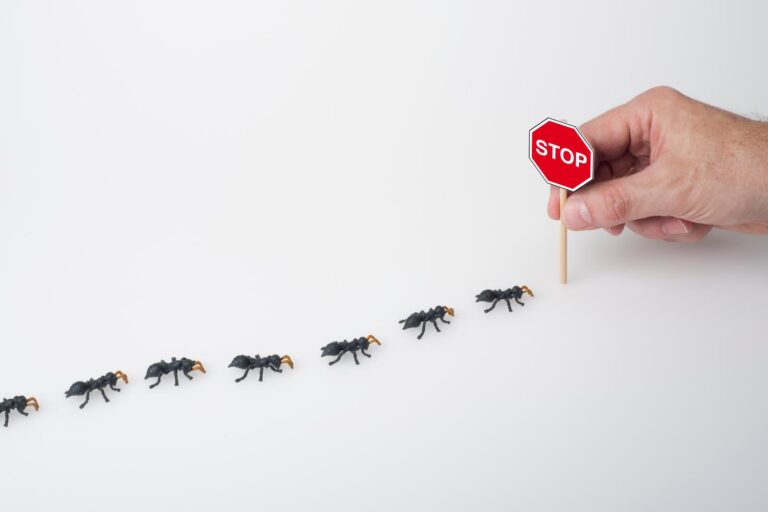 3 Tips for Effective Mice Control in Apartments