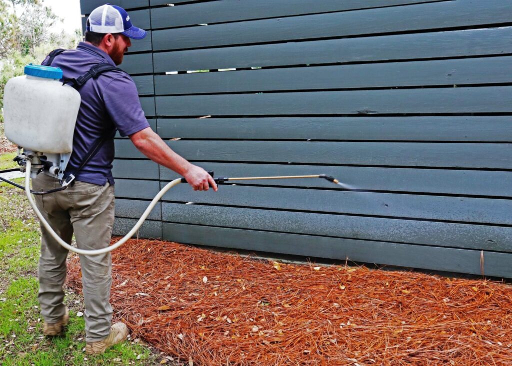 Effective Flea Extermination for Your Pets