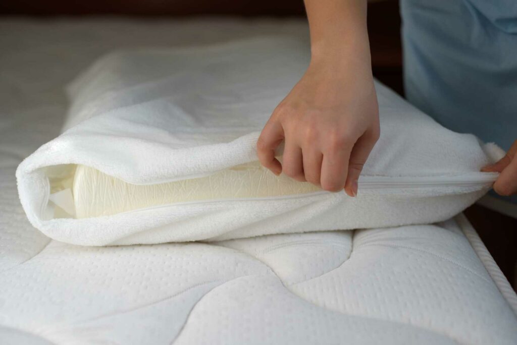 What Are Simple DIY Bed Bug Prevention Tips?