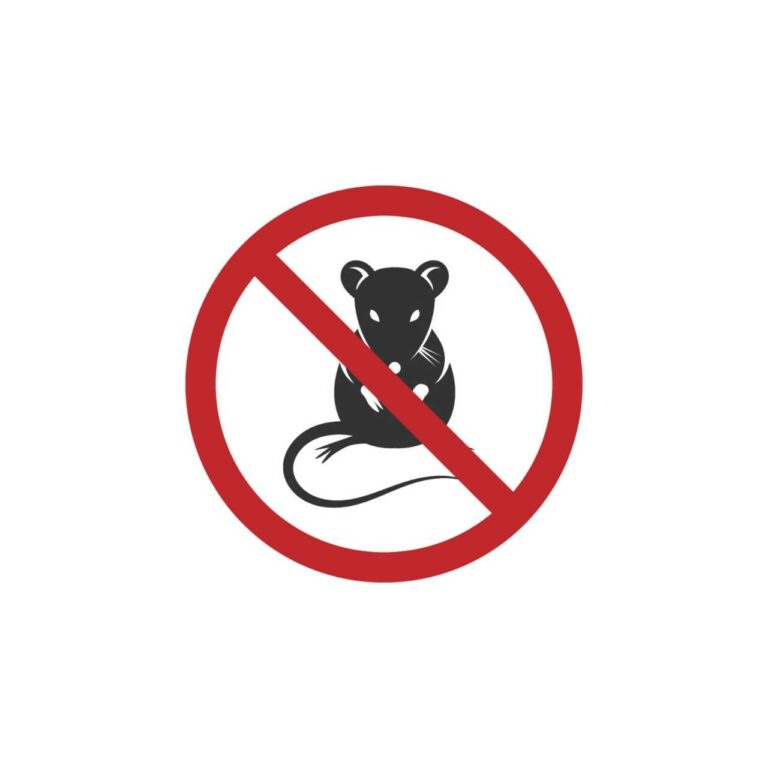 Top DIY Humane Mouse Trapping Methods for Pest Control