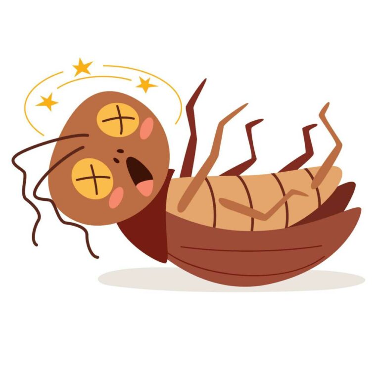 Why Choose Eco-Conscious Bed Bug Removal Methods?