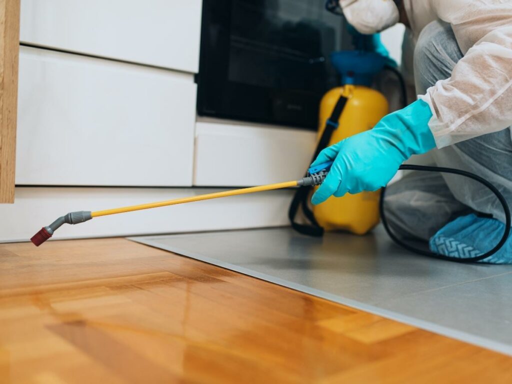 Affordable pest control in West Michigan starts with an estimate from Van Den Berge Pest Control. A pest tech spraying for bugs in a kitchen.