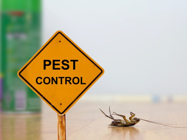 Controlling pest infestation miniature sign next to a dead cockroach.