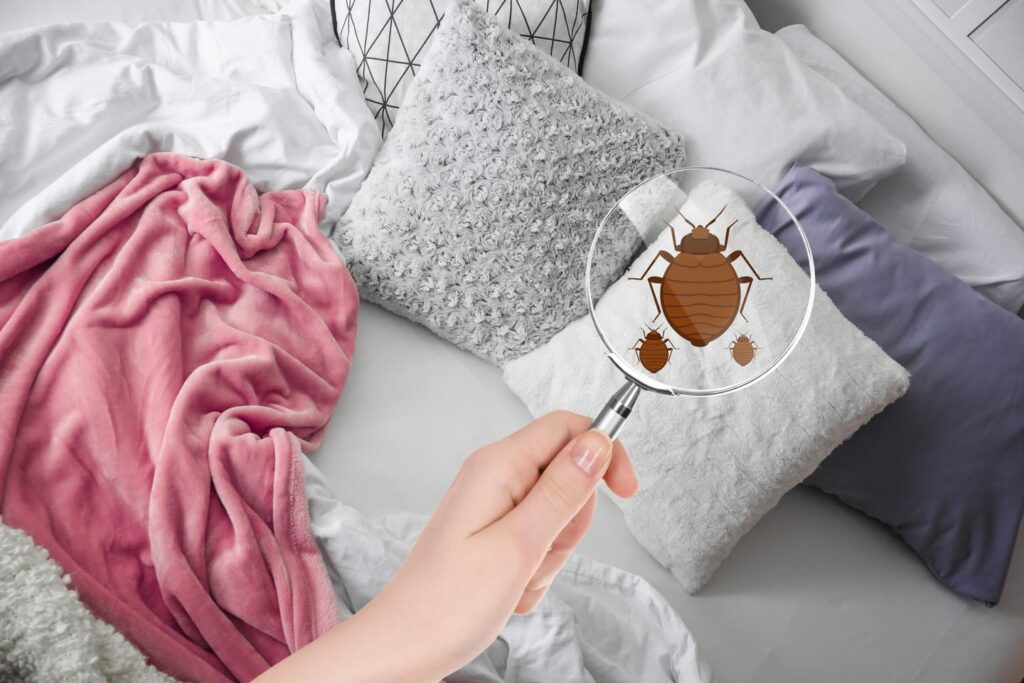 how long does it take for bed bugs to infest? A woman holds. amgnifying glass to her bed (with an image of a bedbug shown)