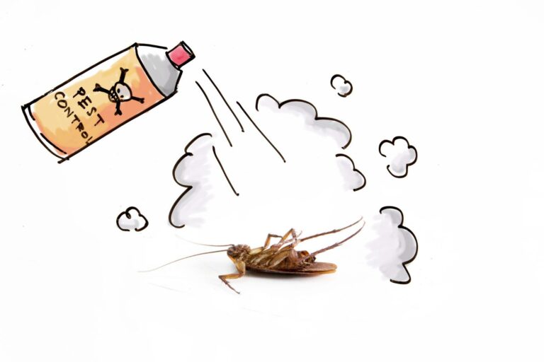 5 Best Methods for Residential Ant Extermination