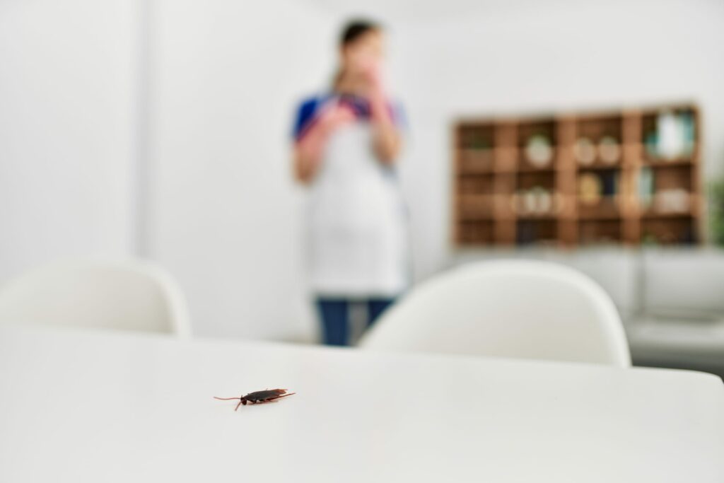 Yes, a cockroach can still contaminate a clean house. A woman gasps in the background as she spots a roach on a clean white table.